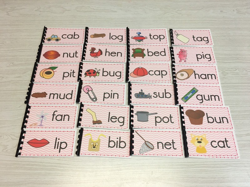 NEW Montessori Materials -The Pink Series – 24 CVC Word Families Booklets Pre-K
