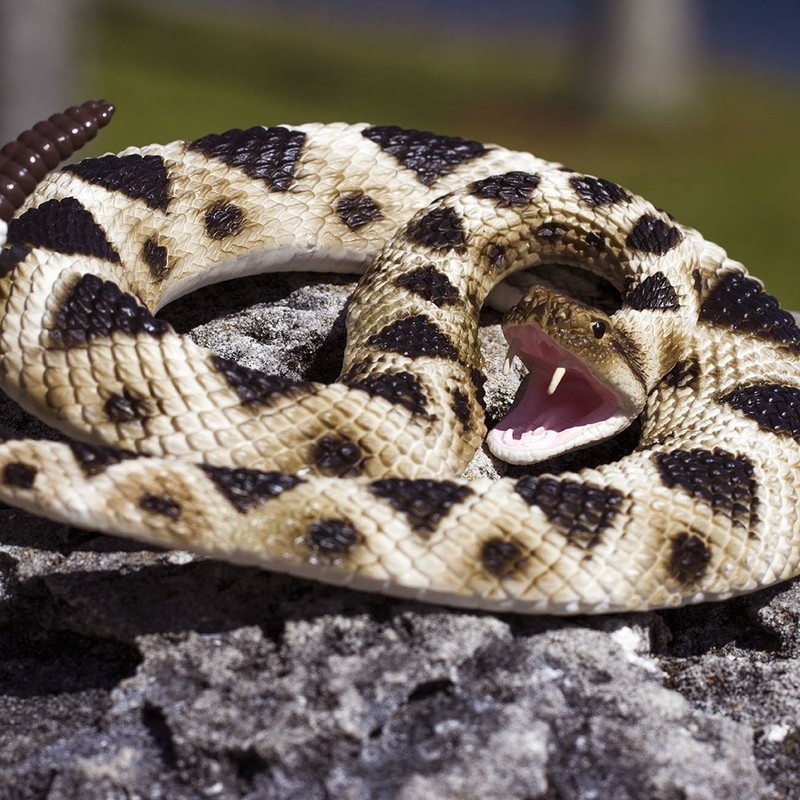 Eastern Diamondback Rattlesnake Figurine - Realistic 40" Model Figure - Educatio gallery