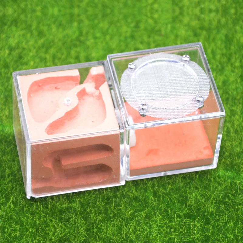 NEW DIY Acrylic Flat Ant Farm with Feeding Area Ecological Ant Nest Pet Anthill
