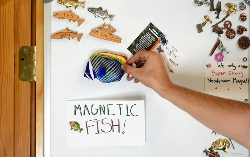 Butterfly Fish, Redtail,Tropical Fish Magnet, Soft Stuffed Fish Toy CWG34BB3 gallery