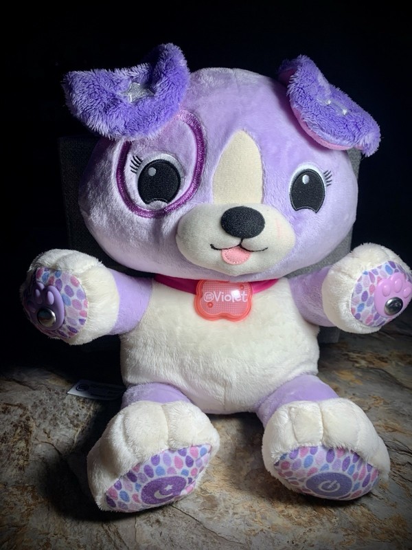 LeapFrog My Pal Violet Smarty Paws Interactive Plush Puppy Dog – Pre Owned