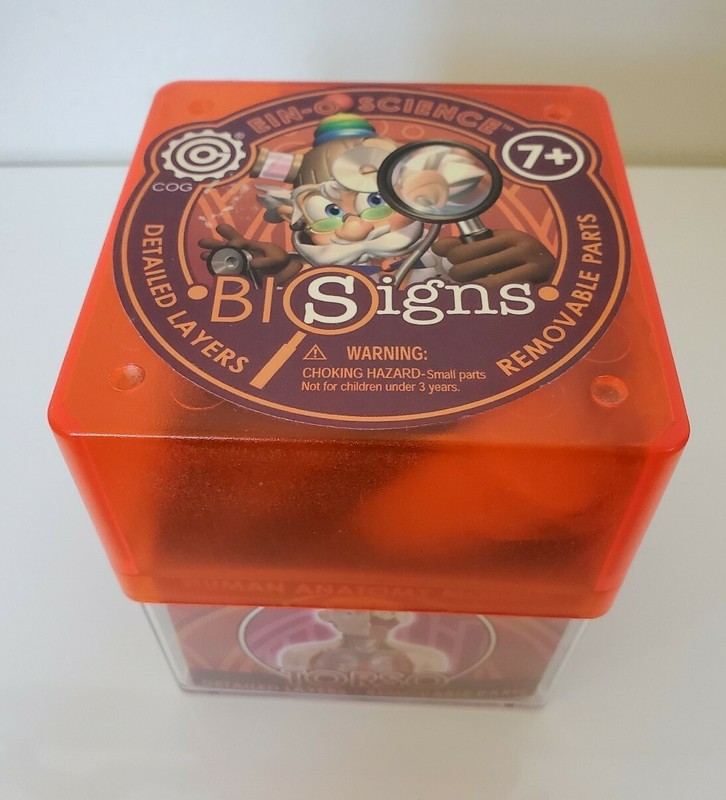 Ein-O Science Torso Bi Signs Biology Model Student Kit Human Anatomy Model gallery
