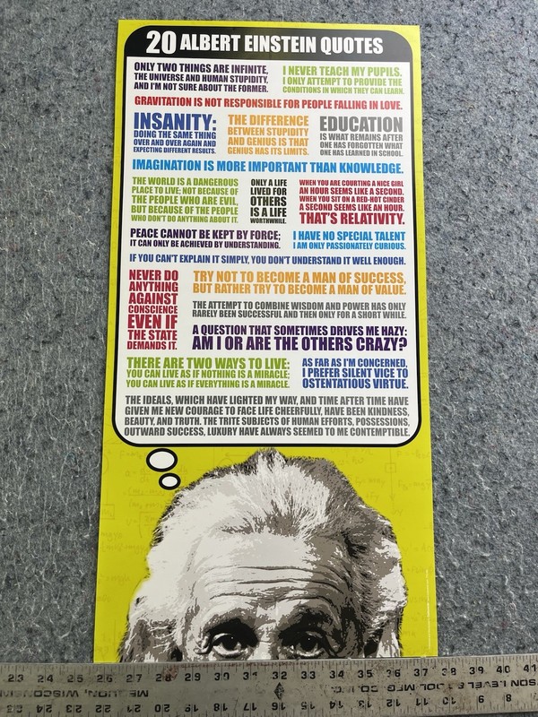 Albert Einstein Quotes Poster 12×24 Motivational Educational Science Wall Art