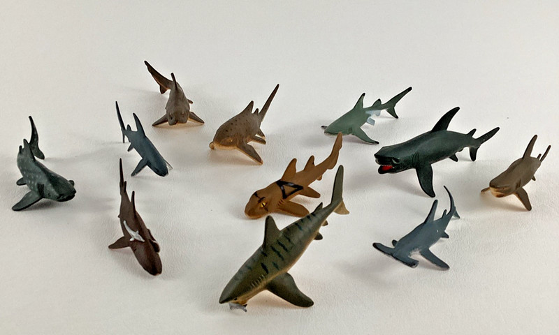 Shark Lot Marine Sea Ocean Life Realistic PVC Figures Hammer Head Bull Tiger