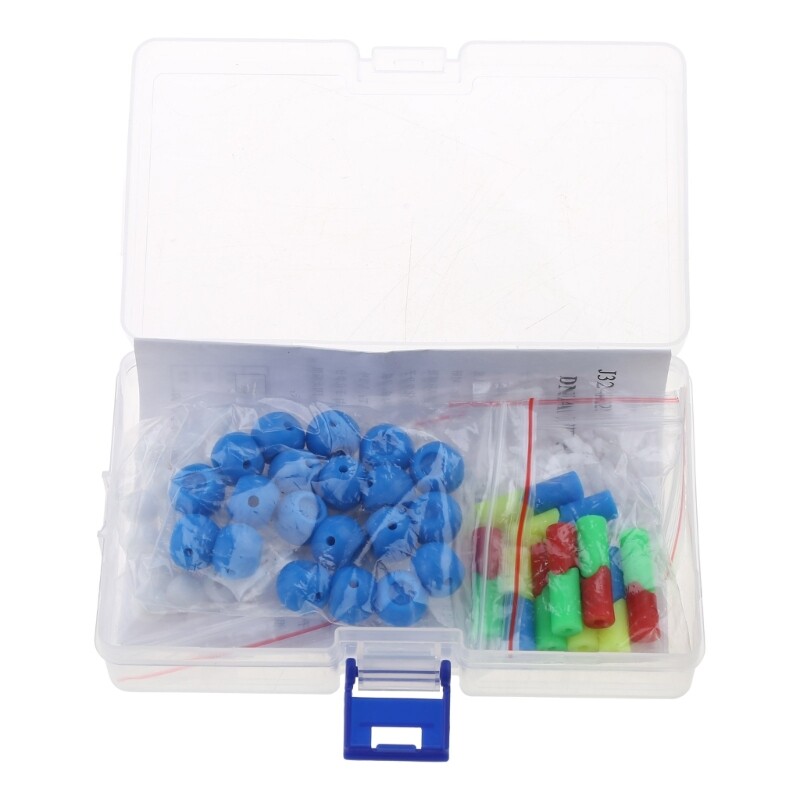 Double Helix Structure Model Biological Science Teaching Tool Durable DNA Models