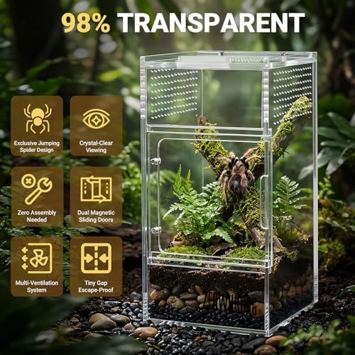 Acrylic Terrarium Habitat for Spiders, Tarantulas, Reptiles - 3x3x6 inch gallery