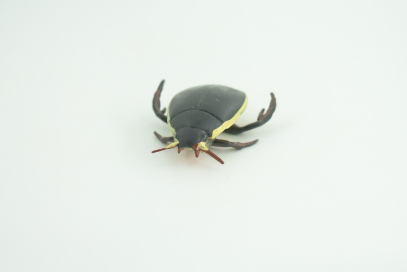 Yellow Edged Diving Beetle Toy Realistic Hand Painted Rubber 2.25" CH857 BB198 gallery