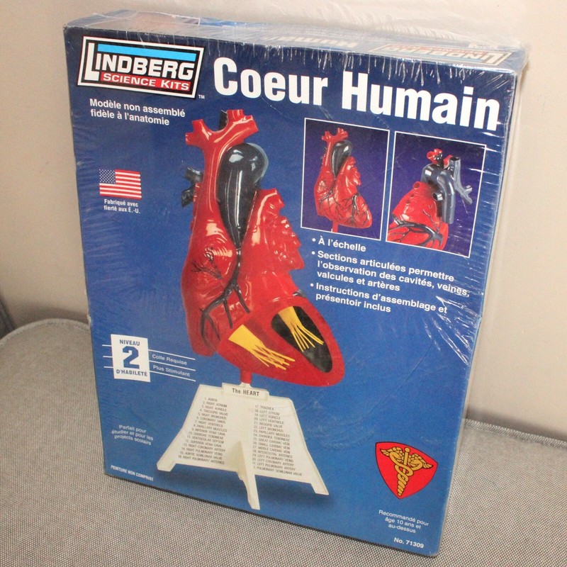 new sealed Lindberg Science Kits Human Heart model kit No.71309 Skill Level 2