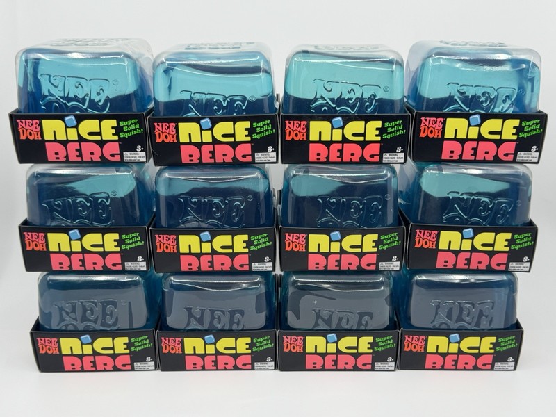 Schylling NeeDoh Nee Doh Lot of 12 Nice Berg Super Solid Squish XL 🧊