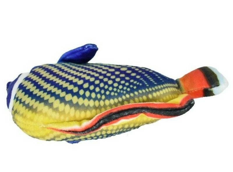 Butterfly Fish, Redtail,Tropical Fish Magnet, Soft Stuffed Fish Toy CWG34BB3 gallery