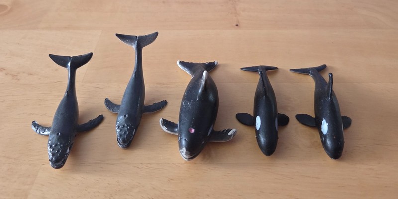 Marine/Ocean Plastic Sea Life Animals Lot of Whales – Orca and Humpback