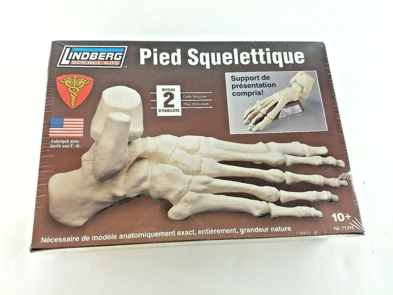 Skeletal Foot by Lindberg Science Kits Fully Articulated Life-Size Model Kit NEW gallery