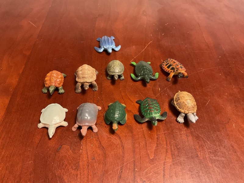 Plastic Small Realistic Turtles Lot Of 11 PVC Safari And Others Toy Pretend