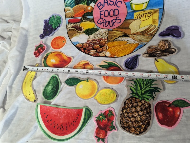 Learning Visual Felt Food Groups Kit Homeschool Montessori Classroom HTF Game gallery