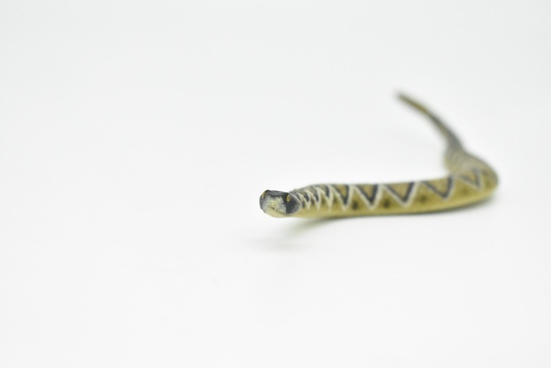 Rattlesnake Diamond Back Realistic Rubber Snake Hand Painted Flexible Toy CWG248 gallery