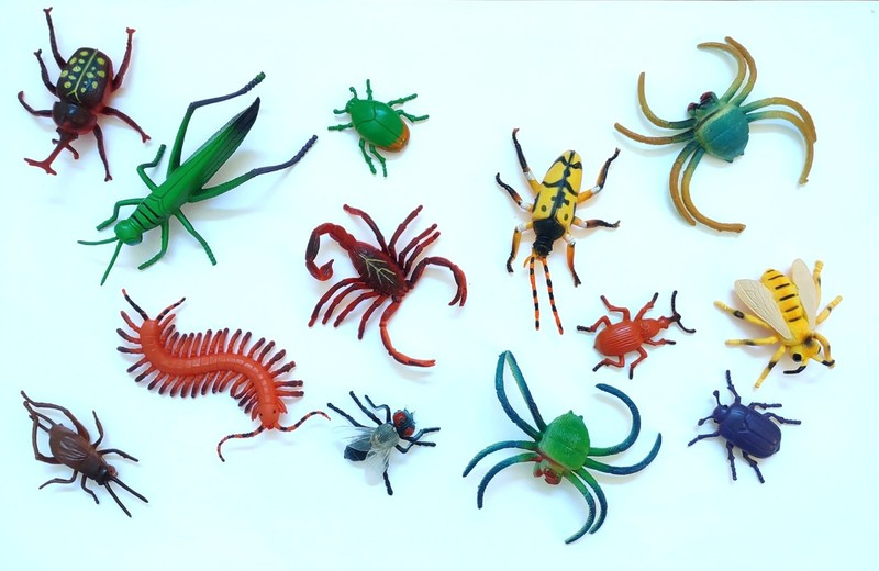 47 ASSORTED REALISTIC INSECTS ~ NATURE TOYS ~ LARGE 1.5 TO 5.5 Inches ~ Flexible gallery