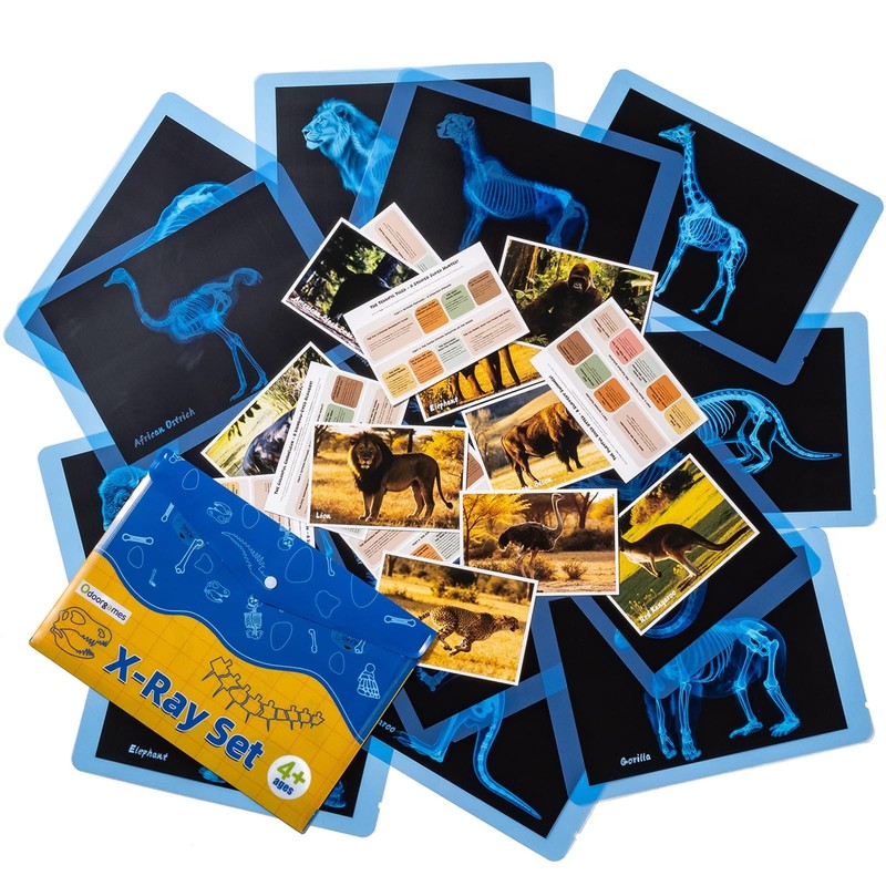 Odoorgames Zoo Animal Xrays for Kids – 15 Pcs Animal Science Kit for Vet Role Pl