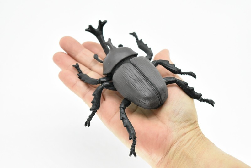 Beetle Rhinoceros, Black, Very Nice Rubber Replica 5 1/2" CWG82 B153 gallery