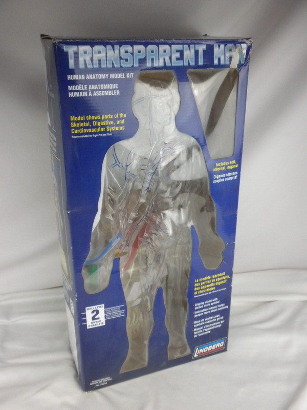 Lindberg Transparent Man Science Anatomy Model Kit # 76009 Open Box- Complete gallery