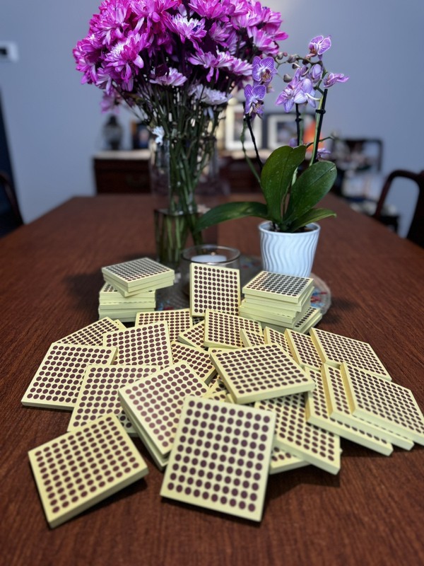 Montessori Math 45 Wooden Hundred Squares