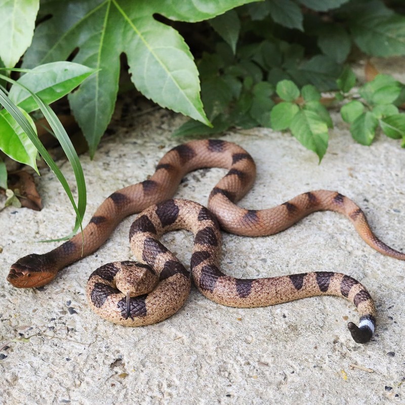2Pcs Realistic Fake Snakes Toy Lifelike Rubber Rattlesnake Scare Birds & Squirre gallery