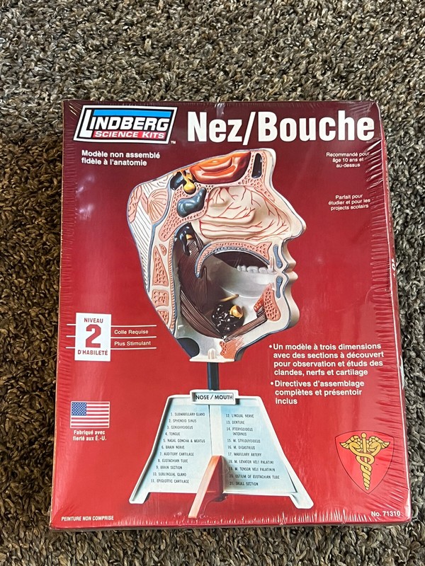 Lindberg Science Kit #71310 Nose/Mouth Anatomically Accurate Unassembled Kit 10+ gallery