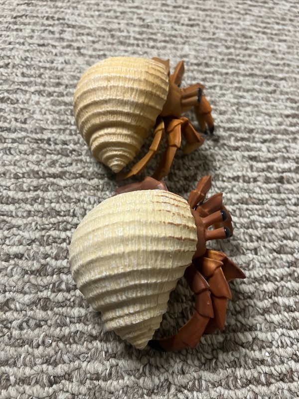 2 Jumbo Hermit Crab Incredible Creatures Figure Safari Ltd Toys Educational Set gallery