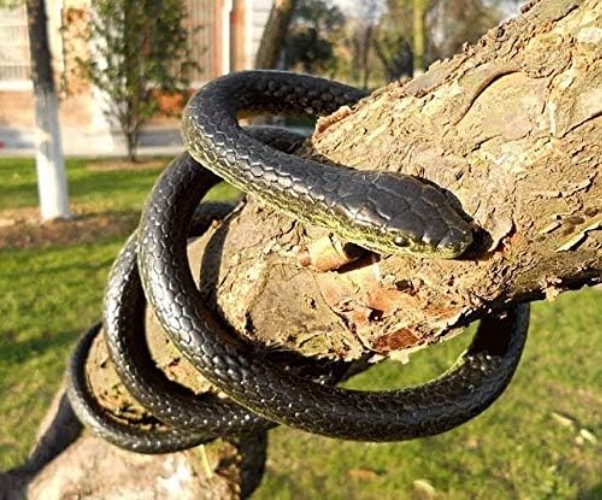 Realistic 47" Rubber Snake Scare Prank gallery