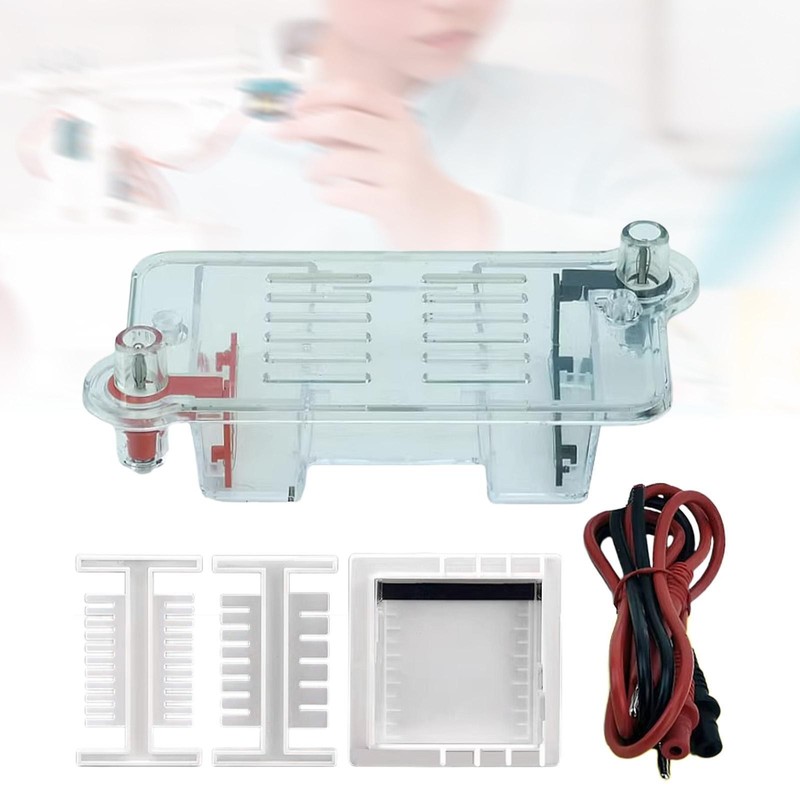 Electrophoresis Apparatus Experiment Teaching Equipment Sturdy Lightweight