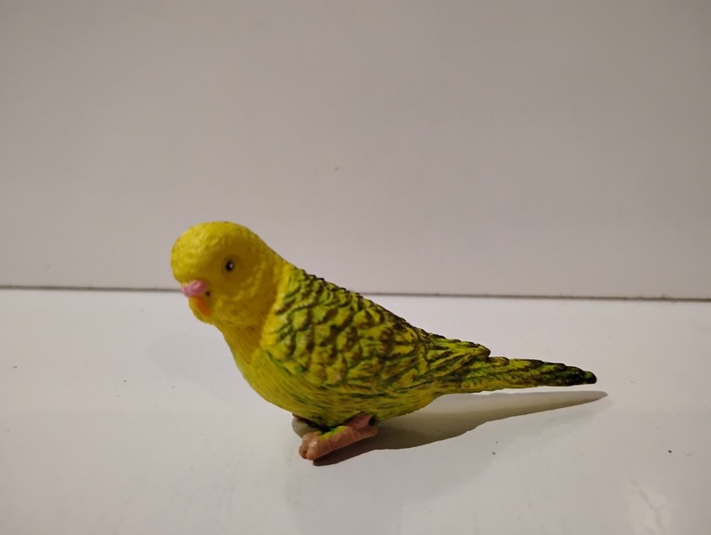 Safari Ltd Parakeet Figure Collectible toy