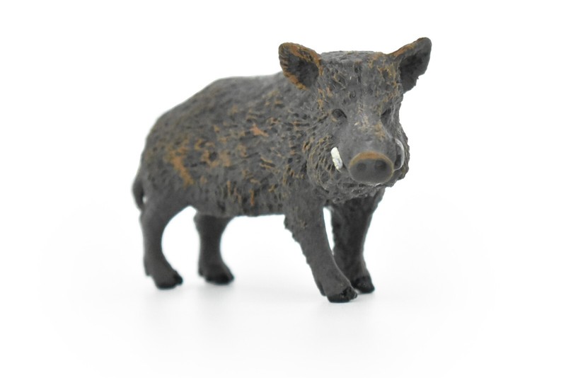 Wild Boar, Javelina Pig Figure, Educational Animal Kids, 3″ CWG177 BB41