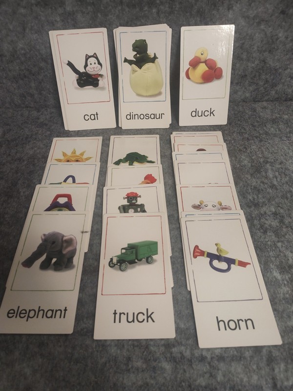 Baby Einstein Nature Discovery Cards Kids Learning Education Complete Set gallery