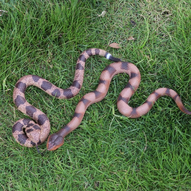 2Pcs Realistic Fake Snakes Toy Lifelike Rubber Rattlesnake Scare Birds & Squirre gallery