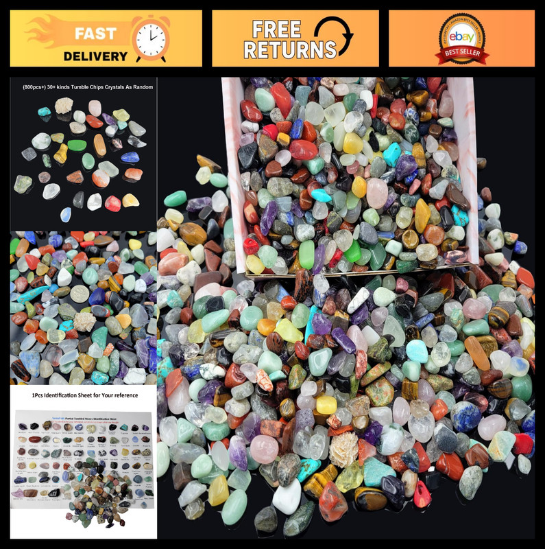 800+ Gemstones & Crystals Set – 30+ Types Bulk Rocks & Minerals Kit for Kids