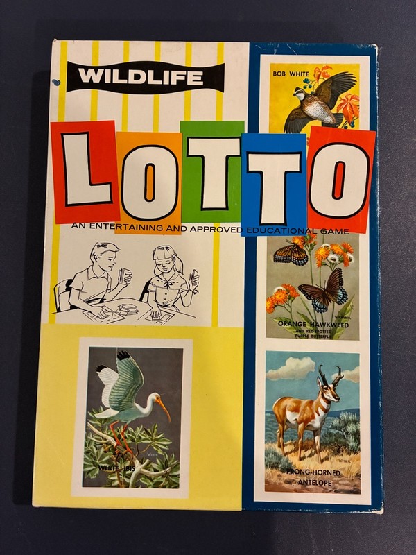 Vintage Lotto Wildlife Childrens Educational And Entertaining Game #20015