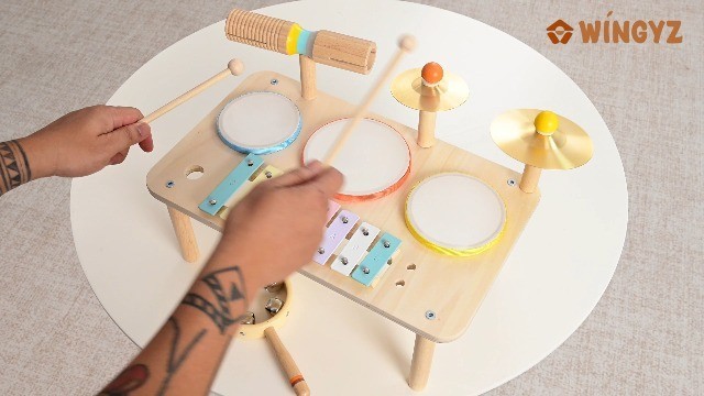 9-in-1 Kids Drum Set - Montessori Musical Instruments for Toddlers, Baby Gift, E gallery