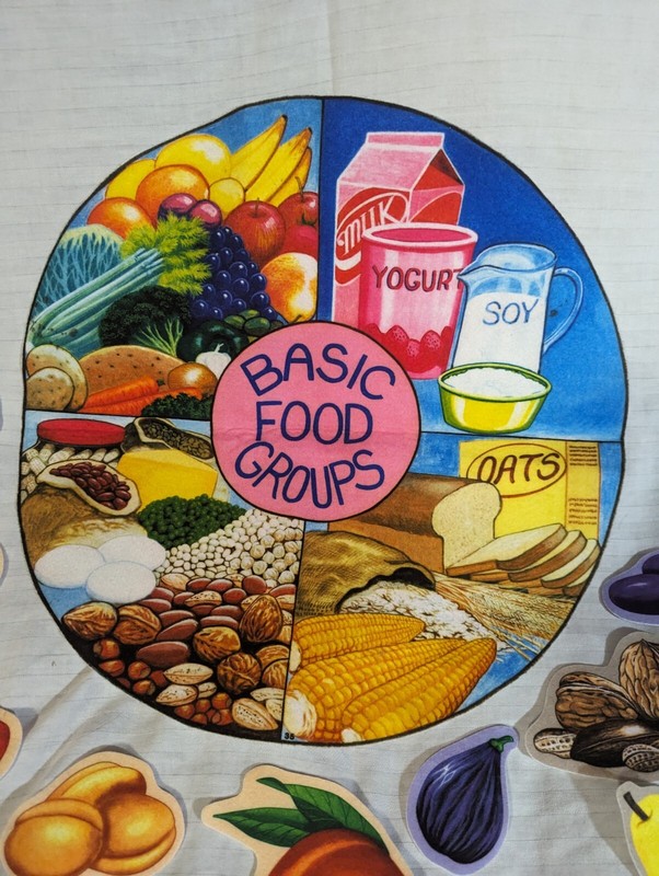 Learning Visual Felt Food Groups Kit Homeschool Montessori Classroom HTF Game gallery