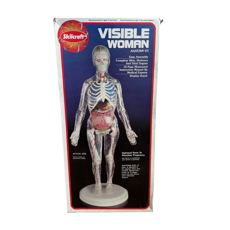 Skilcraft Visible Woman Anatomy Kit Clear Vintage Model Building