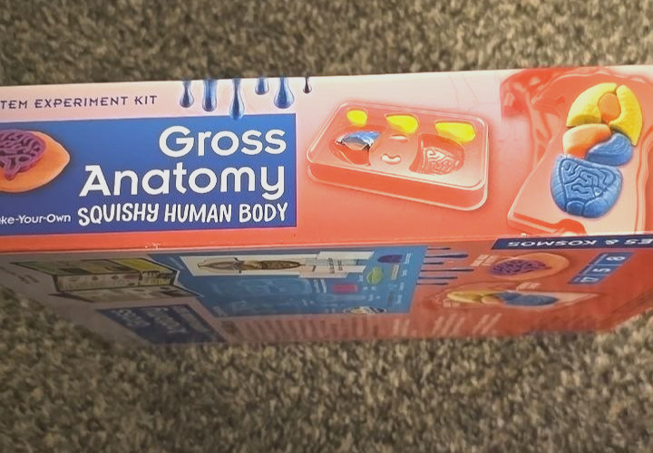 Gross Anatomy DIY Squishy Human Body Educational Science Kit NEW gallery