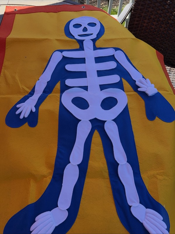 Vintage Felt Pieces Teaching Aid Mannequin Anatomy Skeleton Organs gallery