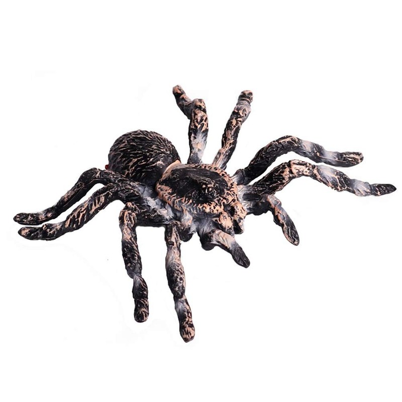 Realistic Animal Figures – Spider Action Model Lifelike Insect Toy Figures – …