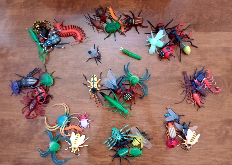 47 ASSORTED REALISTIC INSECTS ~ NATURE TOYS ~ LARGE 1.5 TO 5.5 Inches ~ Flexible gallery