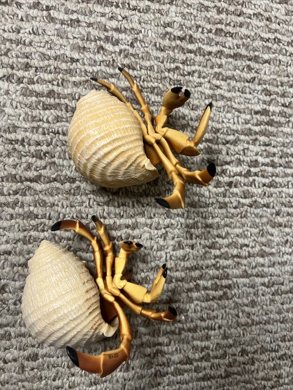 2 Jumbo Hermit Crab Incredible Creatures Figure Safari Ltd Toys Educational Set gallery