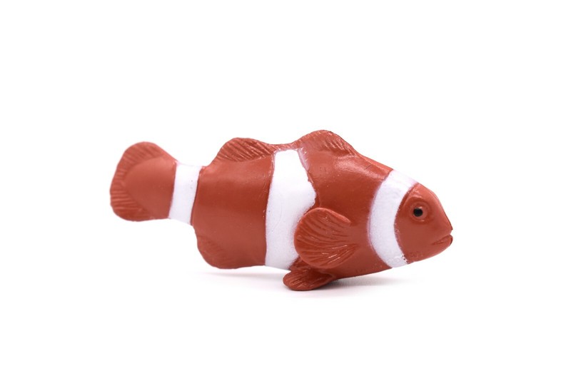 Clownfish, Reef Anemonefish, Rubber Fish Design, Realistic Figure, F1788B145