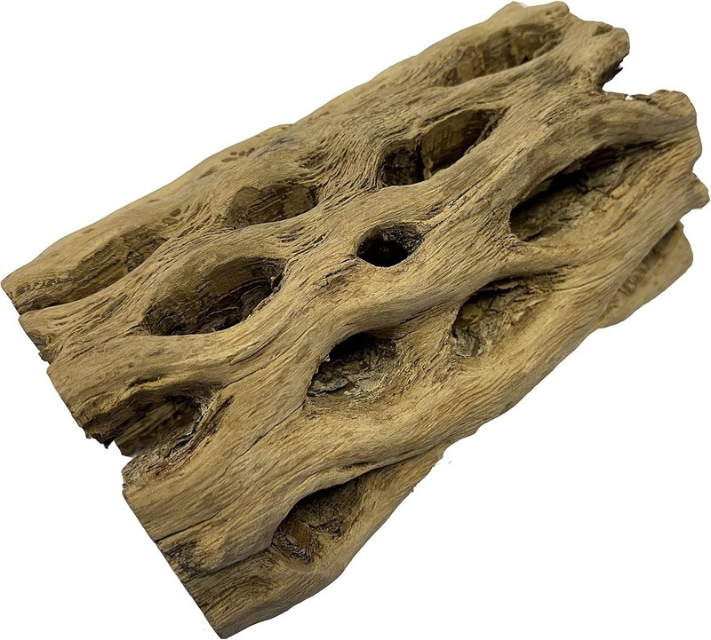 XL Cholla Wood Hollow Tube 6in x Up to 2in - Natural Aquarium & Terrarium Decor gallery