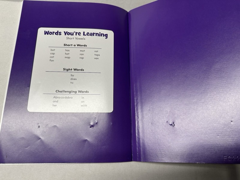 Leap Frog Leap Reader Interactive Book Casey Hat Has A Cat Constants & Vowel a gallery
