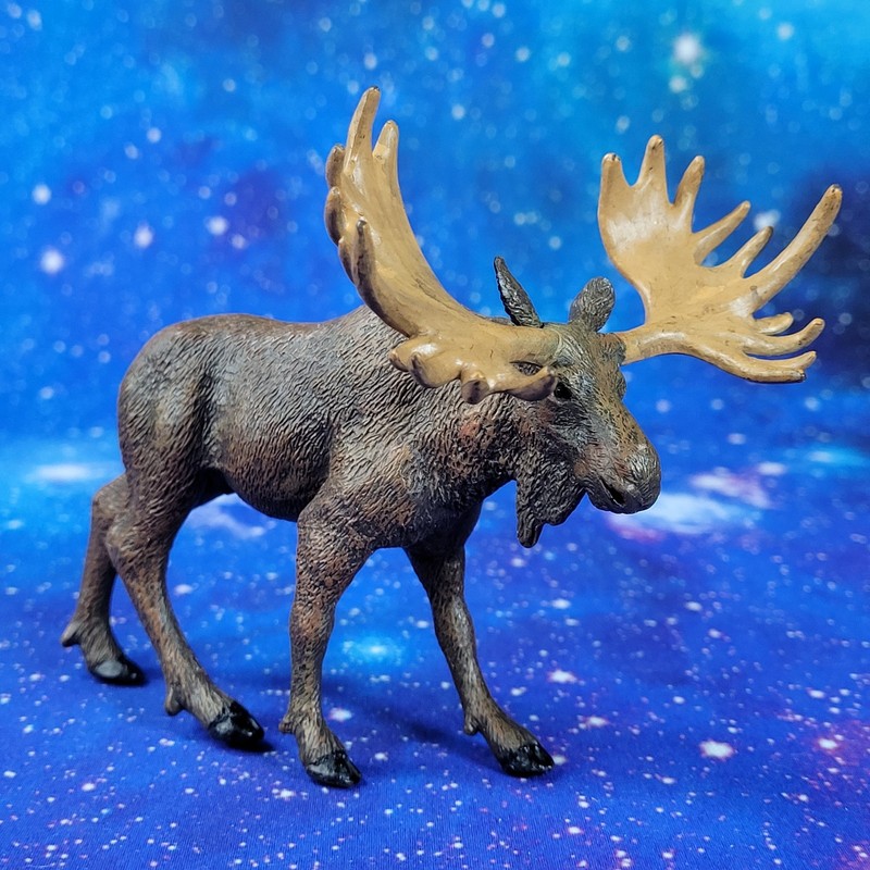 11 Safari LTD Woodland Forest Animal Figures Eagle Moose Wolf Raccoon Squirrel+ gallery